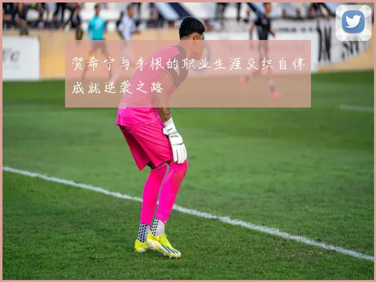贺希宁与李根的职业生涯交织自律成就逆袭之路