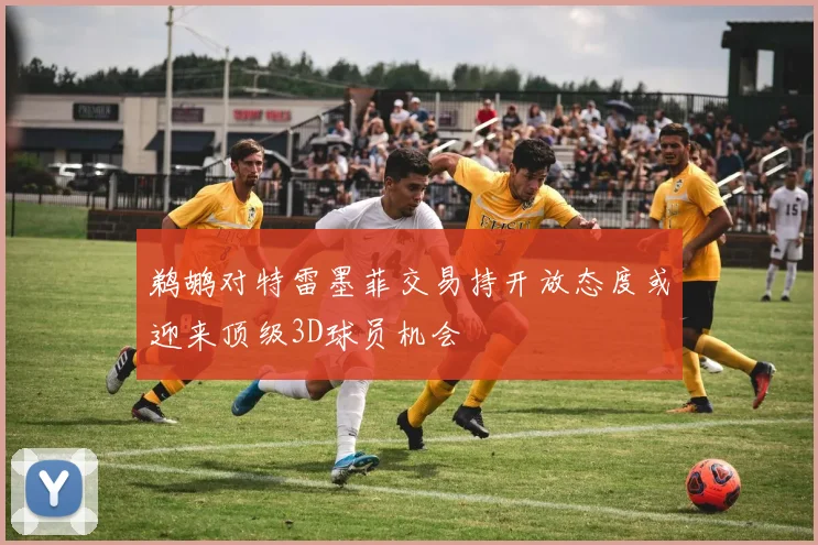 鹈鹕对特雷墨菲交易持开放态度或迎来顶级3D球员机会